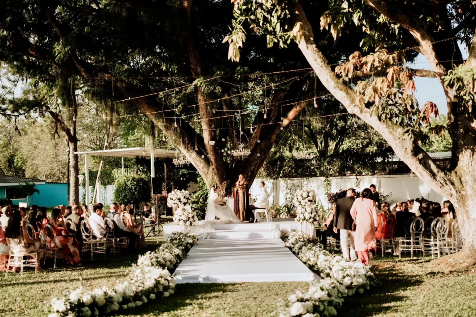 Invitados en una ceremonia bajo el árbol centenario de Inti Raimi
