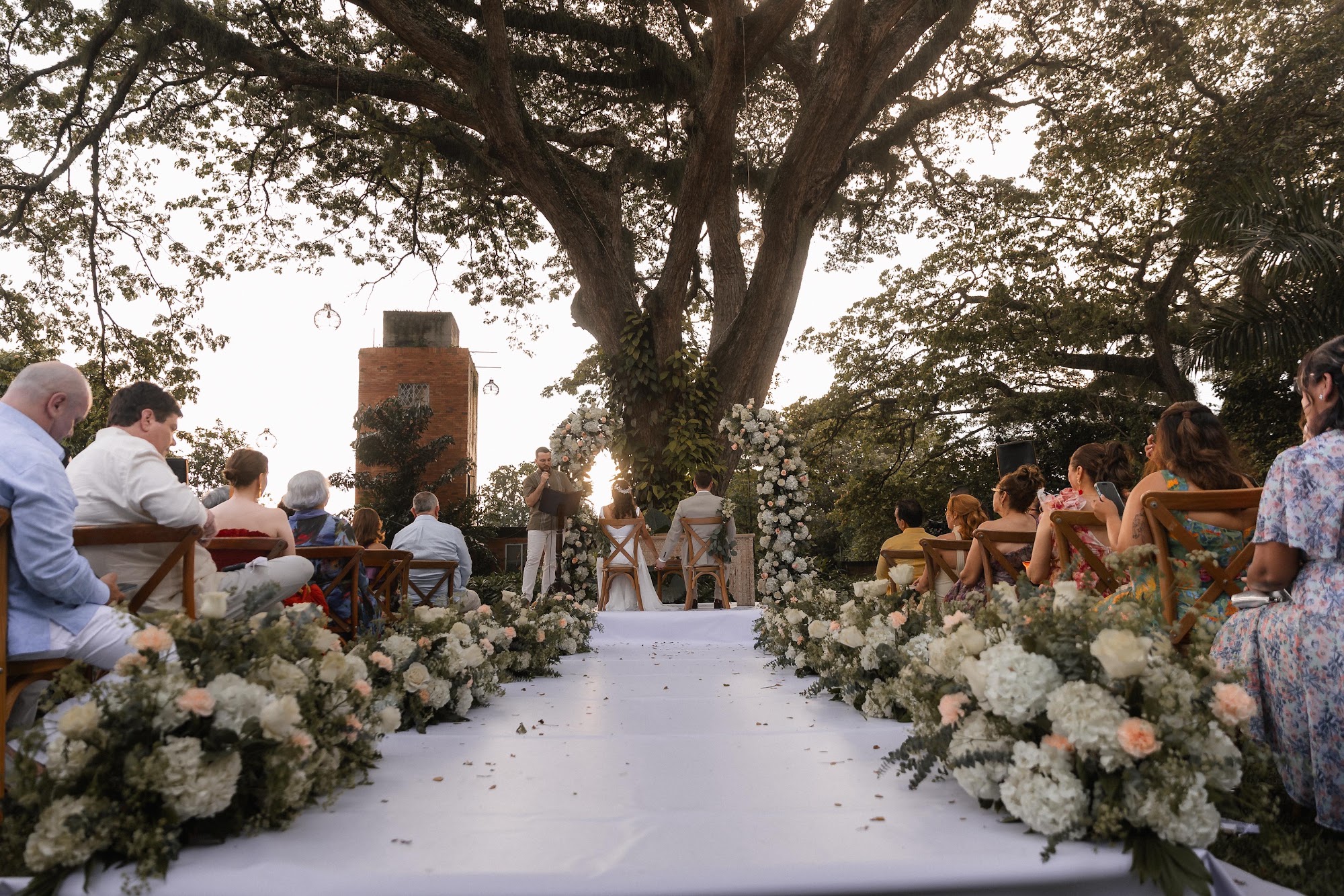 Pasillo de ceremonia bajo el árbol centenario de Inti Raimi, Cali